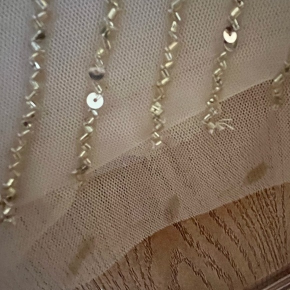 Gorgeous Adrianna Papell Blouson Beaded Gown - Picture 5 of 6